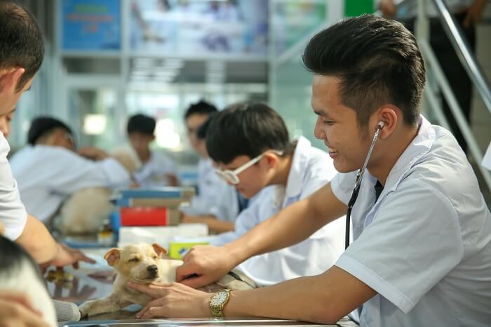 Thủ tục thành lập công ty thuốc thú y