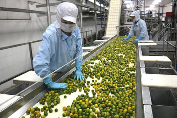 Những lưu ý trước khi thành lập công ty nông sản